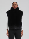 Women's Mountain Luxe High Pile Fleece Winter Fashion Ski Vest